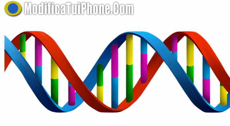 La historia de la investigación del ADN
